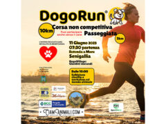 Dogorun