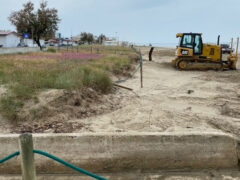 Dune sulla spiaggia di Senigallia erose o danneggiate dai lavori