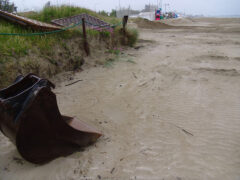 Dune sulla spiaggia di Senigallia erose o danneggiate dai lavori