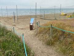 Dune sulla spiaggia di Senigallia erose o danneggiate dai lavori