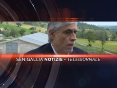 senigallia notizie telegiornale