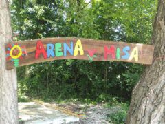 Arena Misa
