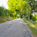Curve pericolose in via S. Antonio a Roncitelli