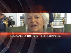 senigallia notizie telegiornale