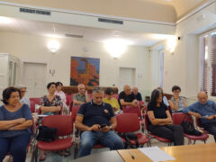 Assemblea Consulta del Volontariato