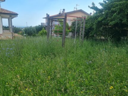 Incuria del verde urbano a Trecastelli