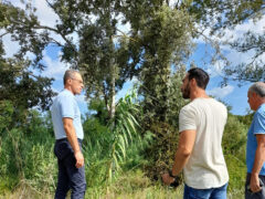 Sopralluogo assessore regionale Aguzzi ai lavori sull'alveo del Misa