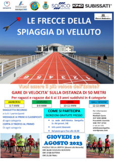Le frecce della Spiaggia di Velluto - locandina