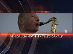 senigallia notizie telegiornale