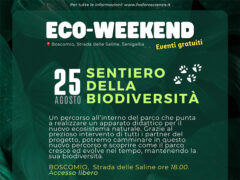 Eco-weekend il 25 agosto 2023 a BoscoMio