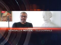 senigallia notizie telegiornale