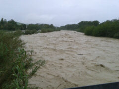 Il fiume Cesano a Senigallia, in piena