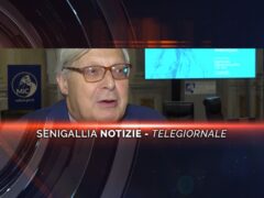 senigallia notizie telegiornale