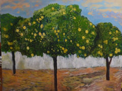 Opera di Francesco Maria Agolino