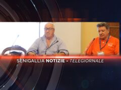 senigallia notizie telegiornale