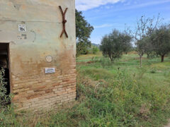 Epigrafi sulla parete del Molino della Marazzana