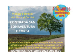 Itinerario storico-naturalistico all'estremo confine del territorio senigalliese