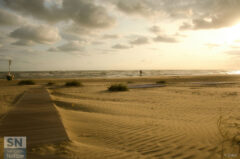 Spiaggia dorata - Foto Valentina Dolci