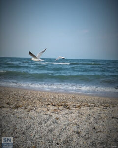 Free fly - Foto Cristina Giachè