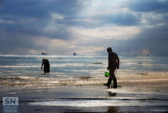 Vongole, telline e cannelli - Foto Andrea Pigliapoco