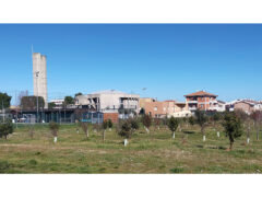 "Il parco che vogliamo" bosco della Cesanella