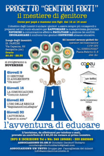 Il mestiere di genitore - locandina