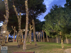 Installazione luminarie natalizie ai Giardini Catalani