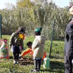 Giornata Nazionale degli Alberi 2023 a Trecastelli