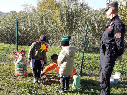 Giornata Nazionale degli Alberi 2023 a Trecastelli