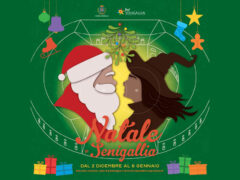 Natale a Senigallia - Eventi Festività 2023/2024