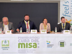 Convegno "Prendiamoci cura del Misa: raccogliere per contenere, promuovere, prevenire" - Maiani, Carloni, Gardoni, Montresor