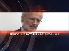 senigallia notizie telegiornale