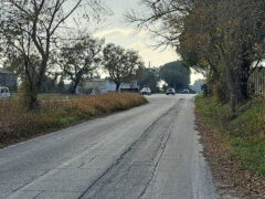 Strada di uscita da Borgo Catena verso Corinaldo
