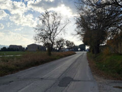 Strada di uscita da Borgo Catena verso Corinaldo