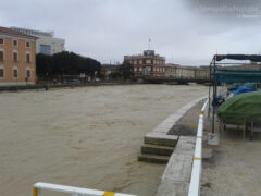 Maltempo a Senigallia: fiume Misa in piena