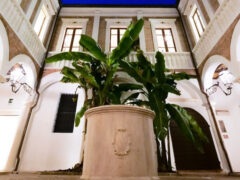 Cortile di Palazzetto Baviera