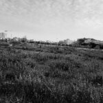 Ex Sacelit