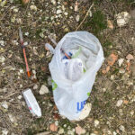 Siringhe abbandonate al porto di Senigallia