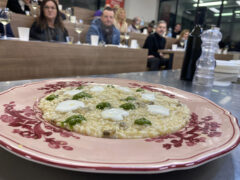Piatti del Ristorante Acqua Salata al Corso Showcooking 4 Ristoranti