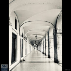 Sempre belli! - Foto Roberto Sbriscia