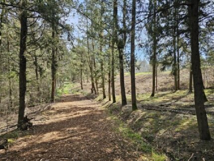 Parco di Selva di Boccalupo