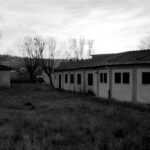 Ex Colonie Uisp