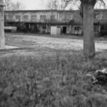 Ex Colonie Uisp