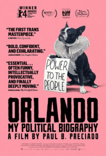 Orlando - My political biography