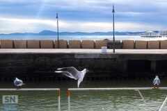 Una vita vista mare - Foto Claudio Cremonesi