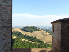 Tra i colli del Metauro