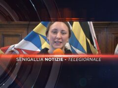 senigallia notizie telegiornale