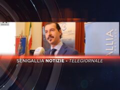 senigallia notizie telegiornale