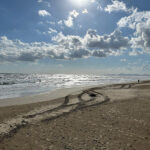 Incroci di sabbia - Foto Serge Plantureux