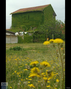 Casa green - Foto Fedele Ruvio